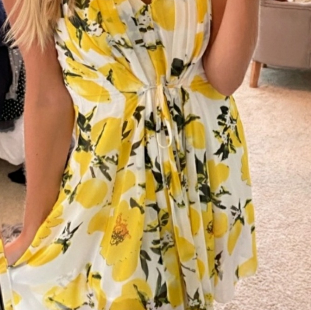 Molly Bracken 🍋 Dress